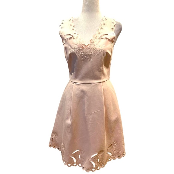 Ted Baker Emalise Pink V-neck Embroidered Skater Dress TB Size 2 - Picture 4 of 14